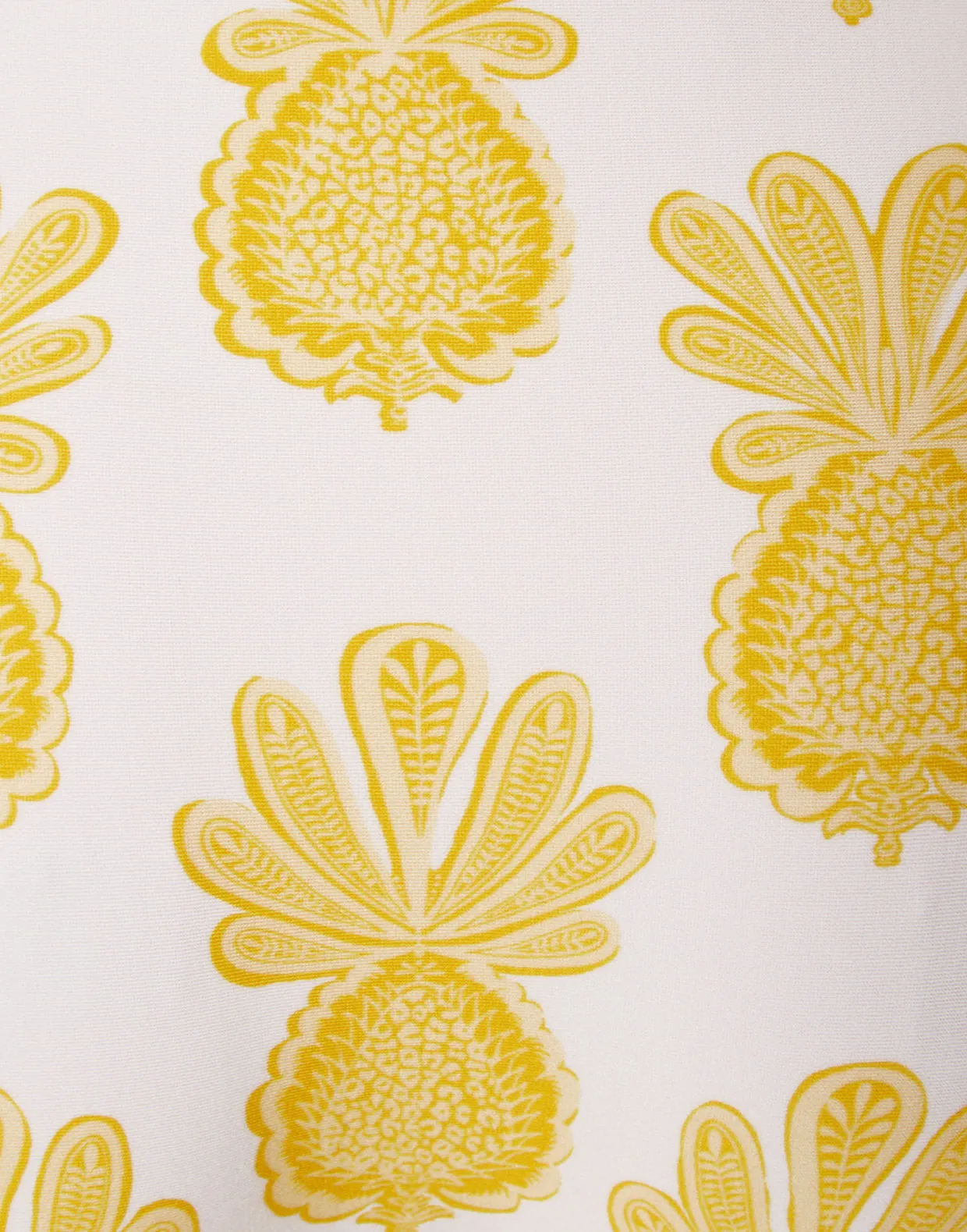 Boy BriefPineapple Sunflower White in Lycra