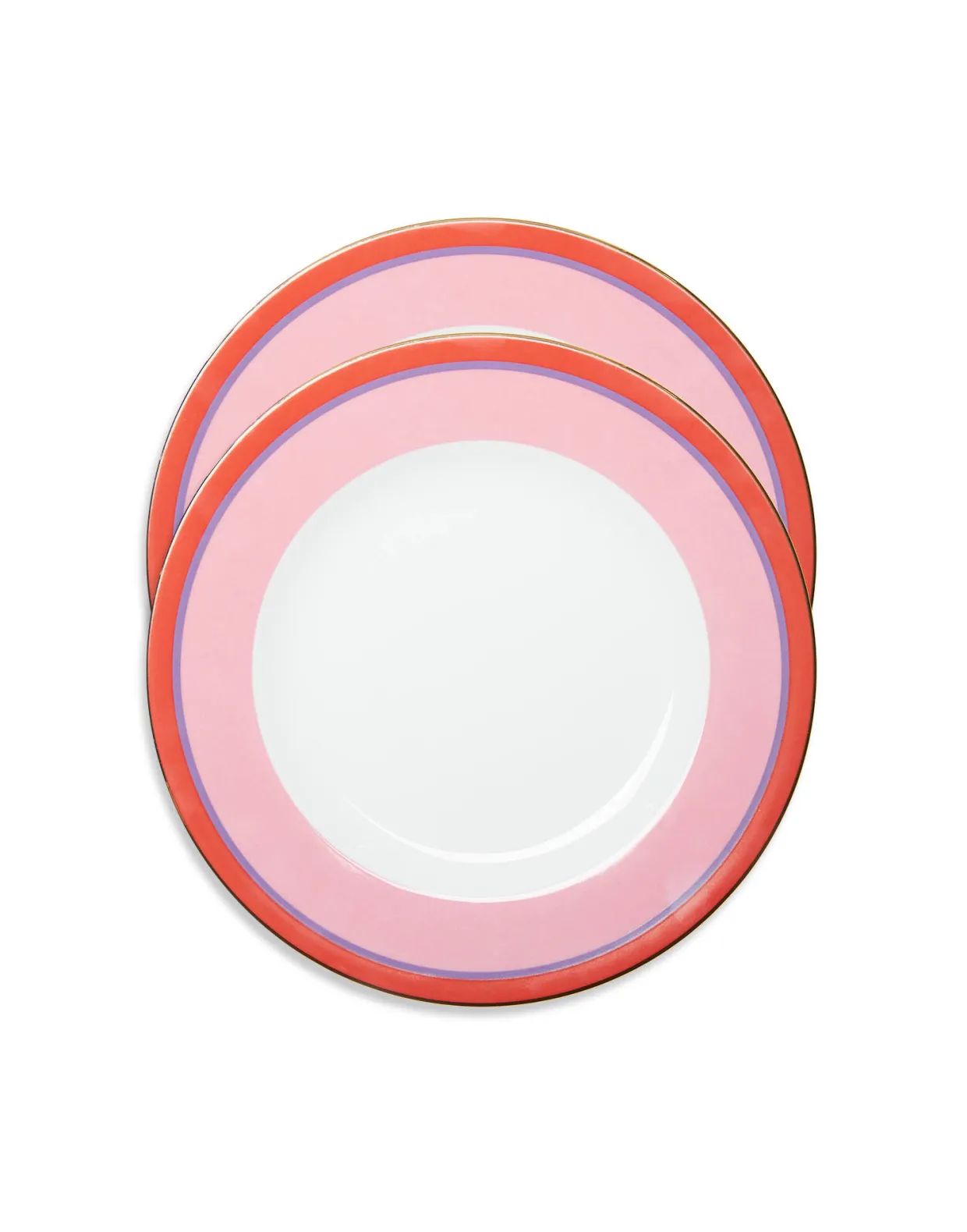 Dinner Plates Set Of 2Rainbow Rose in Porcelain