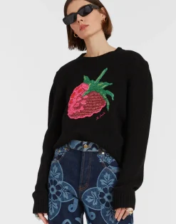 Lampone SweaterBlack in Wool Embroidered