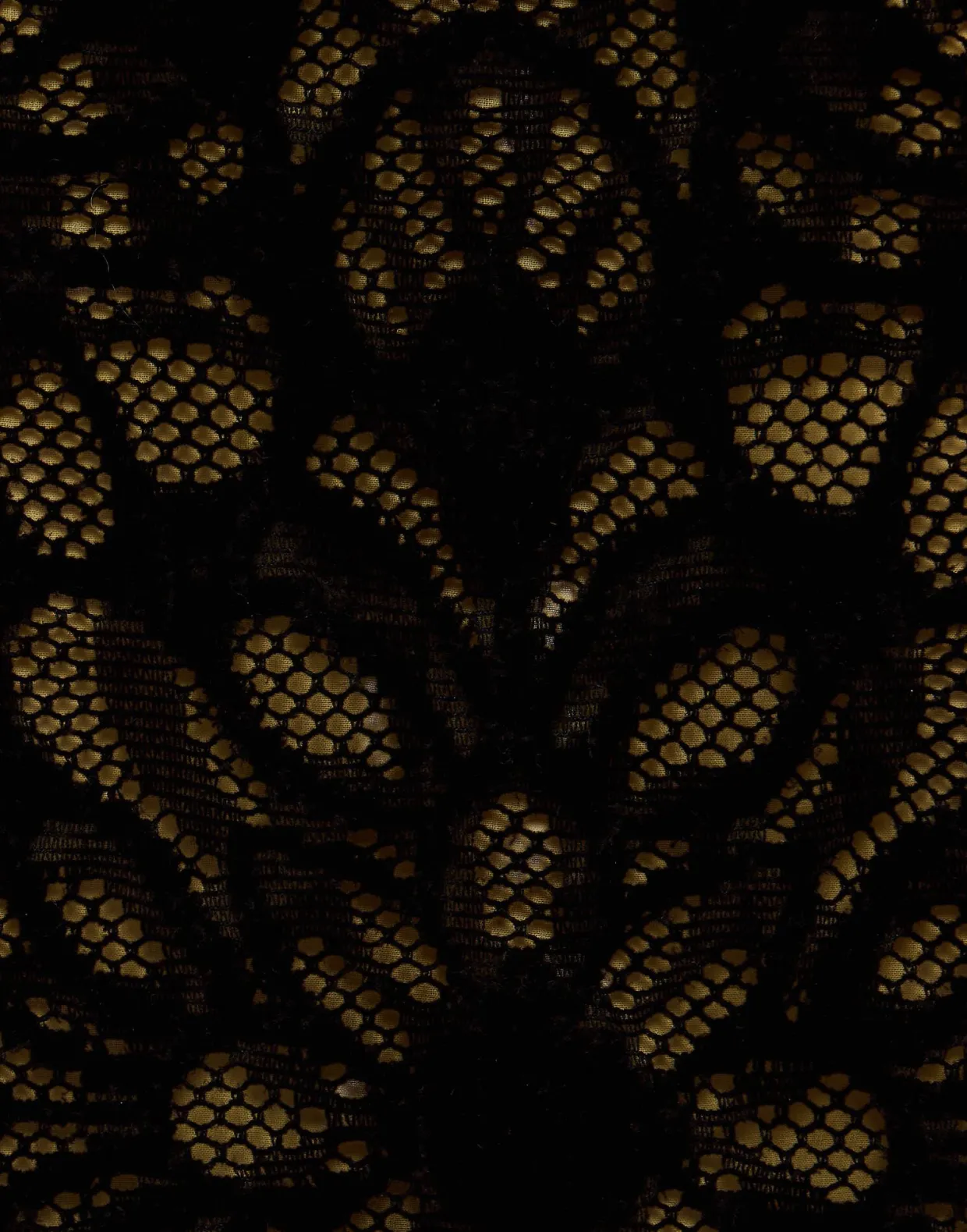 Pencil SkirtVaudeville Brown in Cotton Lace